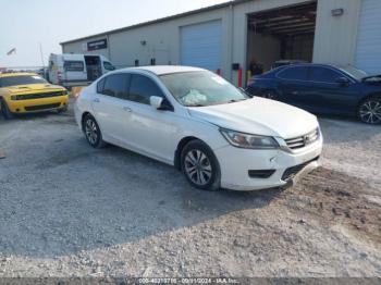  Salvage Honda Accord