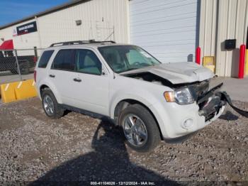  Salvage Ford Escape