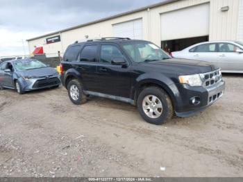  Salvage Ford Escape