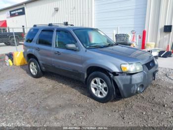  Salvage Ford Escape