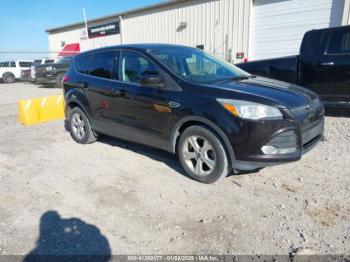  Salvage Ford Escape