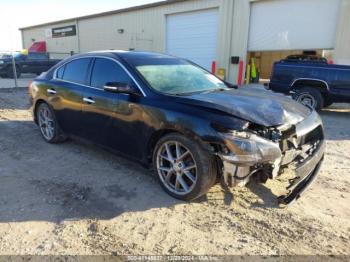  Salvage Nissan Maxima