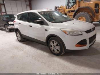  Salvage Ford Escape