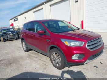  Salvage Ford Escape