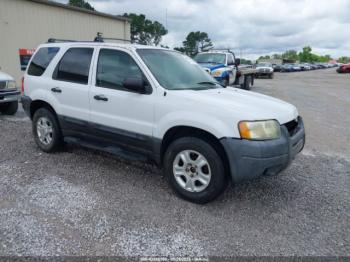 Salvage Ford Escape