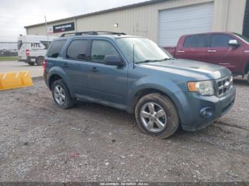  Salvage Ford Escape