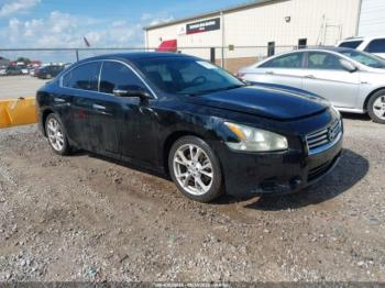  Salvage Nissan Maxima
