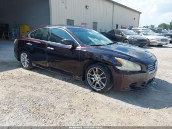  Salvage Nissan Maxima
