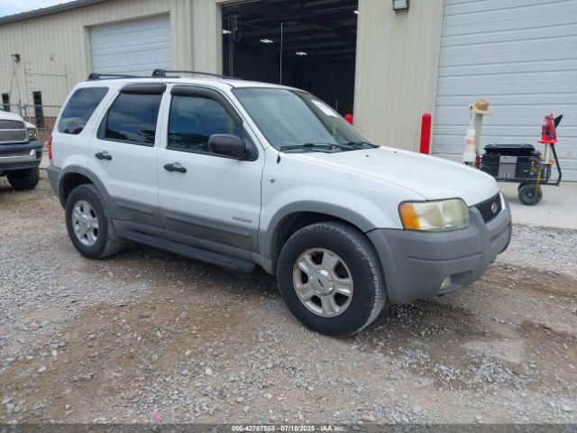  Salvage Ford Escape