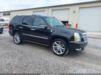  Salvage Cadillac Escalade