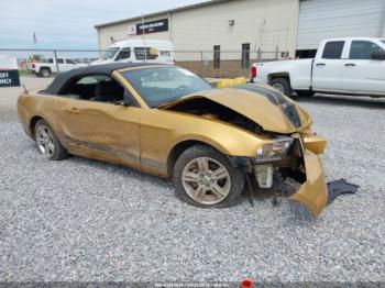  Salvage Ford Mustang