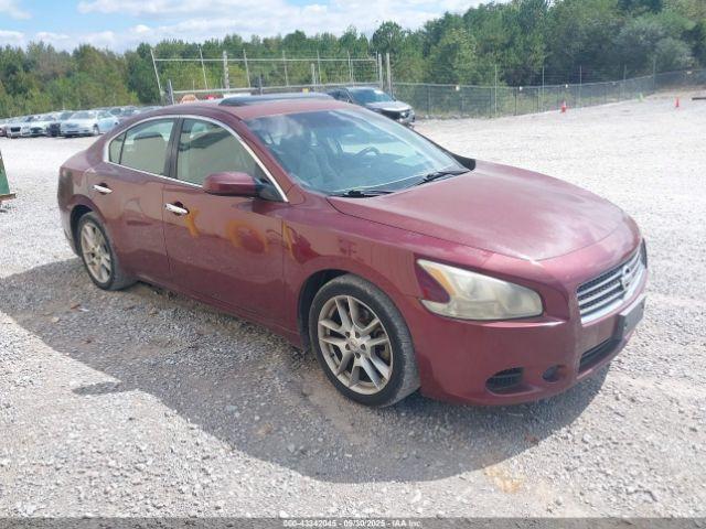  Salvage Nissan Maxima