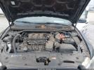 Ford Police Interceptor Image 15