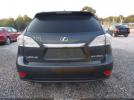 Lexus RX Image 2