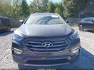 Hyundai SANTA FE 2.0t Ultimate Image 9