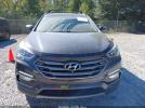 Hyundai SANTA FE 2.0t Ultimate Image 14