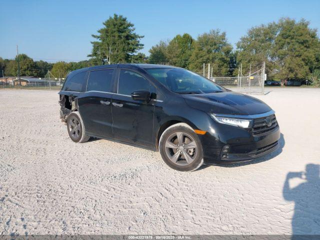  Salvage Honda Odyssey