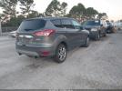Ford Escape Sel Image 11