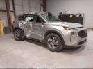 Hyundai SANTA FE Se Image 1