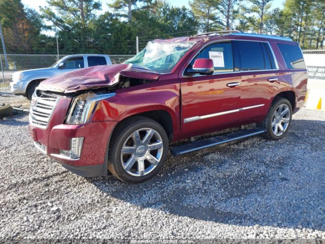 Cadillac Escalade Platinum Image 13