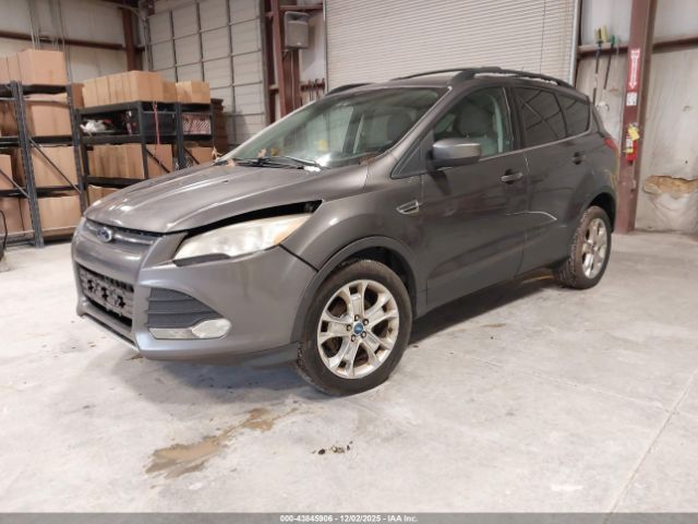 Ford Escape Se Image 11