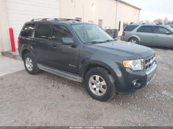 Salvage Ford Escape