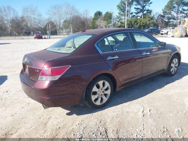 Honda Accord 3.5 Ex-l Image 7