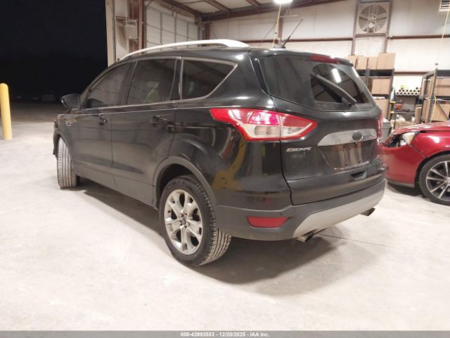 Ford Escape Titanium Image 5