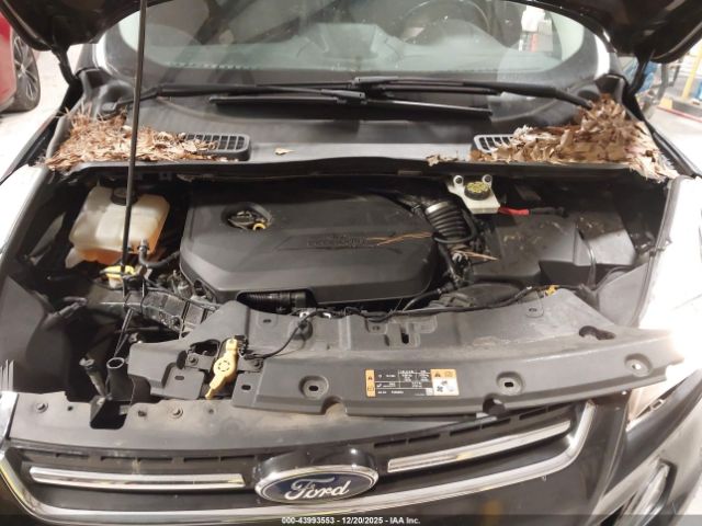 Ford Escape Titanium Image 9