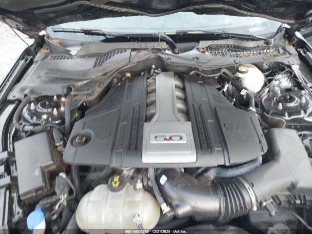 Ford Mustang Gt Fastback Image 12