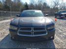 Dodge Charger Image 14