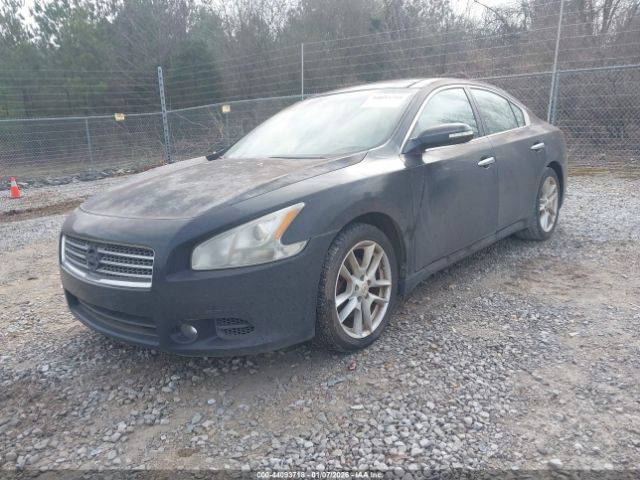 Nissan Maxima 3.5 Sv Image 7