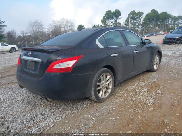 Nissan Maxima 3.5 Sv Image 11
