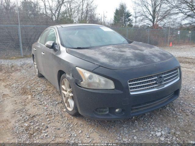 Nissan Maxima 3.5 Sv Image 10