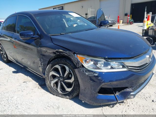 Honda Accord Ex-l V6 Image 2