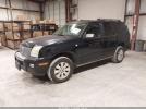 Mercury Mountaineer Premier Image 4