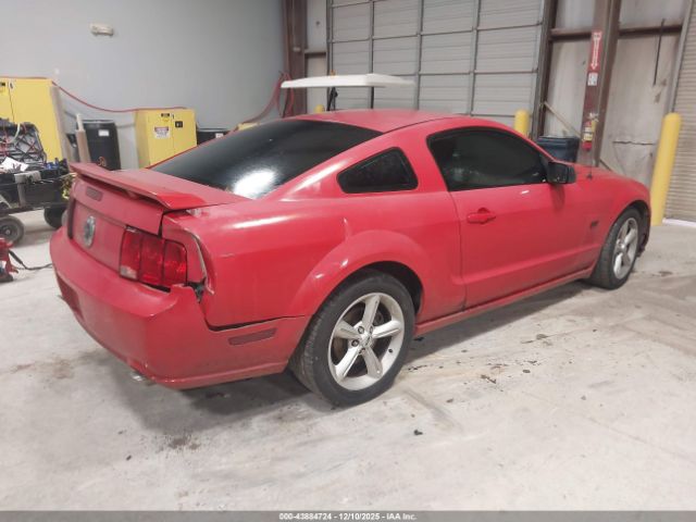 Ford Mustang Gt Image 8