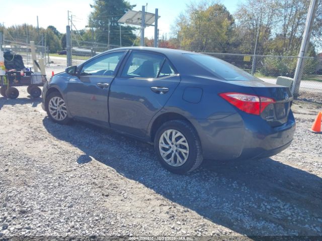 Toyota Corolla Le Image 3